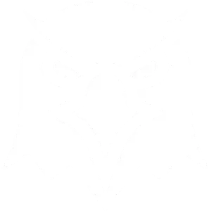 DexScreener